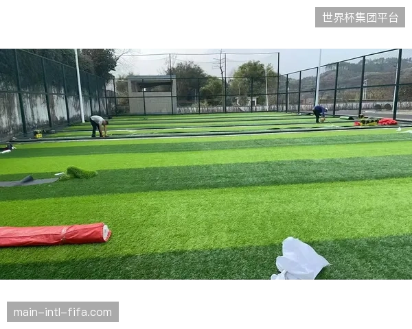日本队需警惕临时铺设的天然草坪质量，场地平整度或将影响地面配合